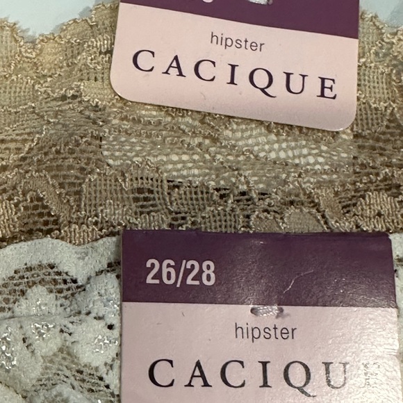 Cacique Intimates & Sleepwear Nwt Two Pair Lane Bryant Hipster